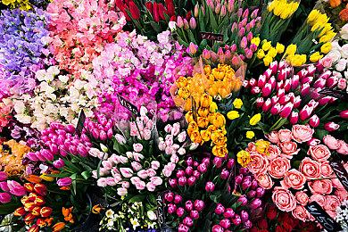 《战争机器：E-Day》首部预告 系列前传虚幻5打造